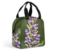 Beige Aesthetic Sage Lunch Bag for Women Men, Portable Insulated Lunch Tote Bags with Handle, Leakproof Reusable Lunchbox for Work, Picnic, Travel