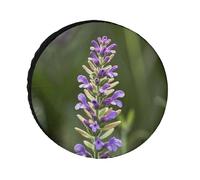 Beige Aesthetic Sage Spare Tire Cover, 24inch Oxford Wheel Protector Travel Accessories, Waterproof Dustproof Wheel Tire Covers for RV Jeep SUV Camper Truck
