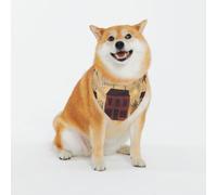 Beige Brown House And Fruit Print Classic Prints & Washable Scarves For Stylish Dogs And Cats Personalized Dog Bandanas - Stylish Pet Scarf For Medium To Large Dogs