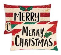 Beige Cushion Covers 30x50cm Christmas Cushions 30 x 50 Pillow Cases Set of 2 Decorative Pillows with Invisible Zipper,Velvet Breathable,Durable Fade-Resistant,Autumn Bed Decor Living Room Sofa,170-j