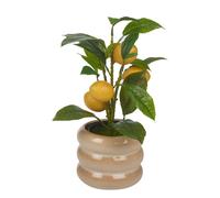 Urbn-Living Urbnliving 39Cm Height Artificial Citrus Lemon Fruit Tree & Ceramic Tube Design Beige Gloss Flower Pot