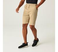 Regatta Aldan Shorts Beige 33 Men