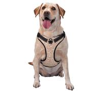 Beige Sparkling Glitter Pattern Dog Harness - Lightweight,Soft,Adjustable Small Harness and Leash Set, Suitable for Puppy Small and Medium-Sized Dog-Medium