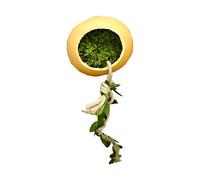 Beimus Durability Metal Geckoes Shelter With Access Compacts Reptiles Hideaways For Jumping Spiders Ventilated Small Reptiles Resting Cave