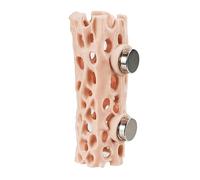 Beimus Innovative Ventilated Spiders Nest Featuring Climbing Tunnel for Jumping Spiders Exploration and Observation Observation Tanks