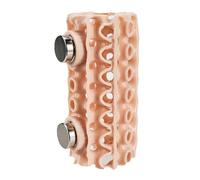 Beimus Innovative Ventilated Spiders Nest Featuring Climbing Tunnel for Jumping Spiders Exploration and Observation Observation Tanks