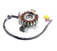 Beimus Motorcycle Magnetor Coil Stators Replacement for 250cc JS250 Simple Install Design Motorcycle Generator Magnetor Stator Ignition Coil