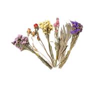 Beimus Natural Dried Flower Hamster Bedding Safe Colorful Habitat Decor & Nesting Accessories Decorative Hamster Bedding Safe Materials