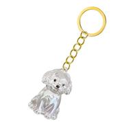 Beimus Pet Memorial Keychain Dog Hair Box For Preserving Or Cremation Ashes In Durability Keyring Design Remembrance Gift Ashes Container Emotional Loss Comfort Clear