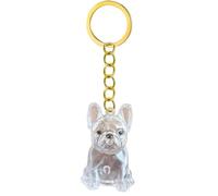 Beimus Pet Memorial Keychain Dog Hair Box For Preserving Or Cremation Ashes In Durability Keyring Design Remembrance Gift Ashes Container Emotional Loss Comfort Clear
