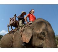 Being a Mahout / Back in Time
