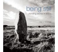 Being Still: Standing Stones in Wales