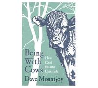 Being With Cows