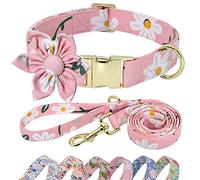 Beirui Cute Girl Dog Collar and Leash Set for Female Dogs- Floral Dog Collar with Flower for Small Medium Large Dogs Puppy, M:Neck 13-21", Leash 5FT, Pink-2