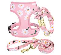 Beirui Cute Girl Dog Collars, Harnesses & Leashes Set - Personalised Dog Collar and Leash Set with Detachable Flower - Soft Mesh Dog Vest Harness Adjustable for Small Medium Large Dogs (Pink-1,S)