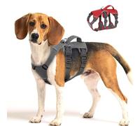 Beirui Escape Proof Safety Dog Harness for Small Medium Dogs, Reflective Dog Harness No Pull with Padded Handle, Waterproof Dog Harness for Daily Walking Training (Grey,Chest 33-69cm)