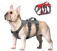 Beirui Escape Proof Safety Dog Harness for Small Medium Dogs, Reflective Dog Harness No Pull with Padded Handle, Waterproof Dog Harness for Daily Walking Training (Grey,Chest 25-46cm)