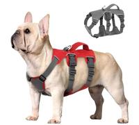 Beirui Escape Proof Safety Dog Harness for Small Medium Dogs, Reflective No Pull with Padded Handle, Waterproof for Daily Walking Training (Red, Chest 25-46cm)