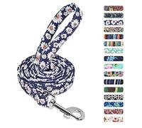 Beirui Floral Dog Lead for Small Medium Large Dogs - Durable Strong Nylon Light-weight Dog Lead,150cm*2cm,Daisy-Blue