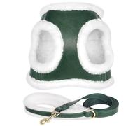 Beirui Leather Soft Plush Padded Puppy Harness & Leash Set, Winter Warm No Chock No Pull Adjustable Dog Harness for Small Dog, Green