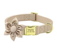 Beirui Personalized Cute Girl Dog Collars with Removable Flower,Soft Padded Female Dog Collars Adjustable with Golden Metal Buckle for Small Medium Large Dogs (Beige, XS)