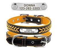 Beirui Personalized Soft Padded Dog Collar with Buckle Comfortable and Stylish Leather Dog Collar for Small Medium Large Dogs with Name Plate(XS, Orange 22-29cm)