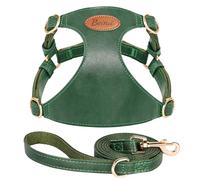 Beirui Stylish PU Leather Dog Harness and Leash Set for Medium Dogs, Adjustable Step in Dog Vest Harness with Breathable Mesh Lining and Durable Metal Buckle for Walking Traveling(Green,M)