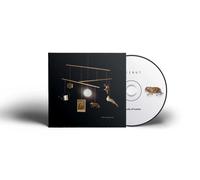 Beirut - A Study of Losses