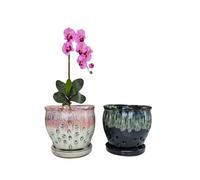 Beitewei 2PCS Small Ceramic Orchid Planter Pots with Holes 4.33inch Ceramic Planters for Orchid Repotting(Black&White)