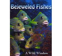 Bejeweled Fishes