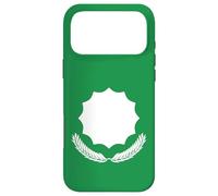 Bektashi Sufi Order Dervish Muslim Islam Bektashism Case for iPhone 17 Pro Max