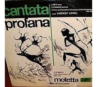 Béla Bartók - Cantata Profana / Jesu, Meine Freude BWV 227 Motetta