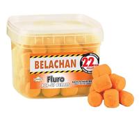 BELACHAN Fluro POP UPS 22MM