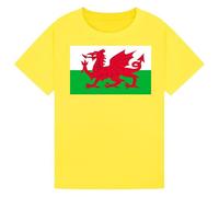 Belarte St David’s Day Kids T-Shirt - Welsh Cymru Flag Badge Shirts, Daffodils Graphic Tee for Boys & Girls Yellow 12-13Y