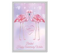 Belated Anniversary Cards - Special Late Happy Wedding Anniversary Wishes - Blank Inside to Write own Message - Perfect Sorry or Apology - Quality - Flamingo Birds Theme