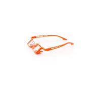 Belay goggles YY VERTICAL Plasfun Evo (orange)