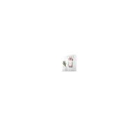 Beldray Garment Steamer Pad Overdoor Protects Surfaces Easy Storage Rose Gold