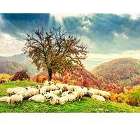 BELECO 1.5x1m Fabric Bible Scene Sheep Backdrop Romanian Carpathians Mountain Autumn Landscape Sheeps Under The Tree Holy Light Christian Photography Background Church Event Decor Photo Studio
