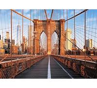 BELECO 1.5x1m Fabric Brooklyn Bridge Backdrop New York Iconic Building City Backdrop American Travel Landmark Photo Wedding Photography Background Kids Adults Lovers Portrait Shoot Studio Video