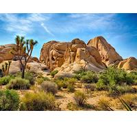 BELECO 1.5x1m Fabric Desert Backdrop Joshua Tree National Park Photography Backdrop Odd Trees Rocky Mountains Natural Scenery Holiday Background Hiking Camping Pictures Home Decor Photo Studio