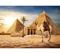 BELECO 1.5x1m Fabric Egypt Pyramids Backdrop Photography Ancient Egyptian Pyramid Camel Backdrop Giza Desert Scene Coconut Tree Sunset Sky Scenery Egypt Party Supplies Studio Photo Shoot