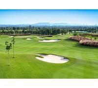 BELECO 1.5x1m Fabric Golf Course Backdrop for Photography Green Grass Lawn Bunker Woodland Trees Golf Sports Backdrop Golf Party Decorations Birthday Photoshoot Kids Adults Photo Booth Studio