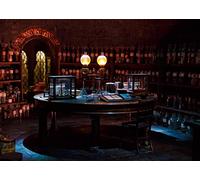 BELECO 1.5x1m Fabric Magic Lab Backdrop Spooky Witch's Room Glass Bottles Potions Chemistry Laboratory Background Halloween Party Decorations Hallowmas Photo Studio
