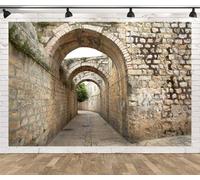 BELECO 2.1x1.5m Fabric Ancient Jerusalem Old City Backdrop | Weathered Stone Wall Arches Cobblestone Alley Background Photography Israel Party Decor Church Event Photo Shoot Studio Props