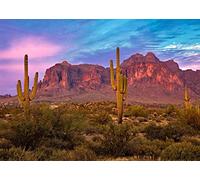 BELECO 2.1x1.5m Fabric Arizona Desert Backdrop for Photography Western Party Decor Blue Sky Sand Dunes Prickly Cactus Saguaro Wilderness Mountain Background Cowboys Children Adult Portrait Photo