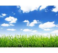BELECO 2.1x1.5m Fabric Blue Sky Spring Meadow Backdrop Green Grass Lawn Blue Sky White Clouds Photography Background Outdoor Nature Scenery Easter Decor Kid Baby Portrait Photo Studio Props Wallpaper