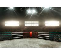 BELECO 2.1x1.5m Fabric Boxing Backdrop Boxing Birthday Party Decor Wrestling Birthday Backdrop Photography UFC Sports Competitive Theme Gymnasium Decor Banner