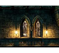 BELECO 2.1x1.5m Fabric Gothic Castle Photography Backdrop Ancient Stone Castle Arched Windows with Stained Glass Dim Light Halloween Evil Background Medieval Castle Theme Party Decorations Photo