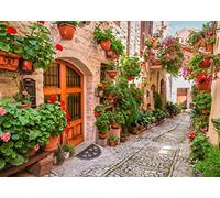 BELECO 2.1x1.5m Fabric Italy Town Street Backdrop for Photography Italian Themed Party Decorations Backdrop Tuscany Flowers Street Narrow Alley Italian Background Birthday Wedding Photo Studio