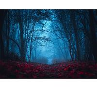 BELECO 2.1x1.5m Fabric Mysterious Foggy Forest Backdrops for Photography Dark Horror Park Red Leaves Forest of Strangers Background Halloween Night Vampire Witch Wizard Horror Party Decor Photo